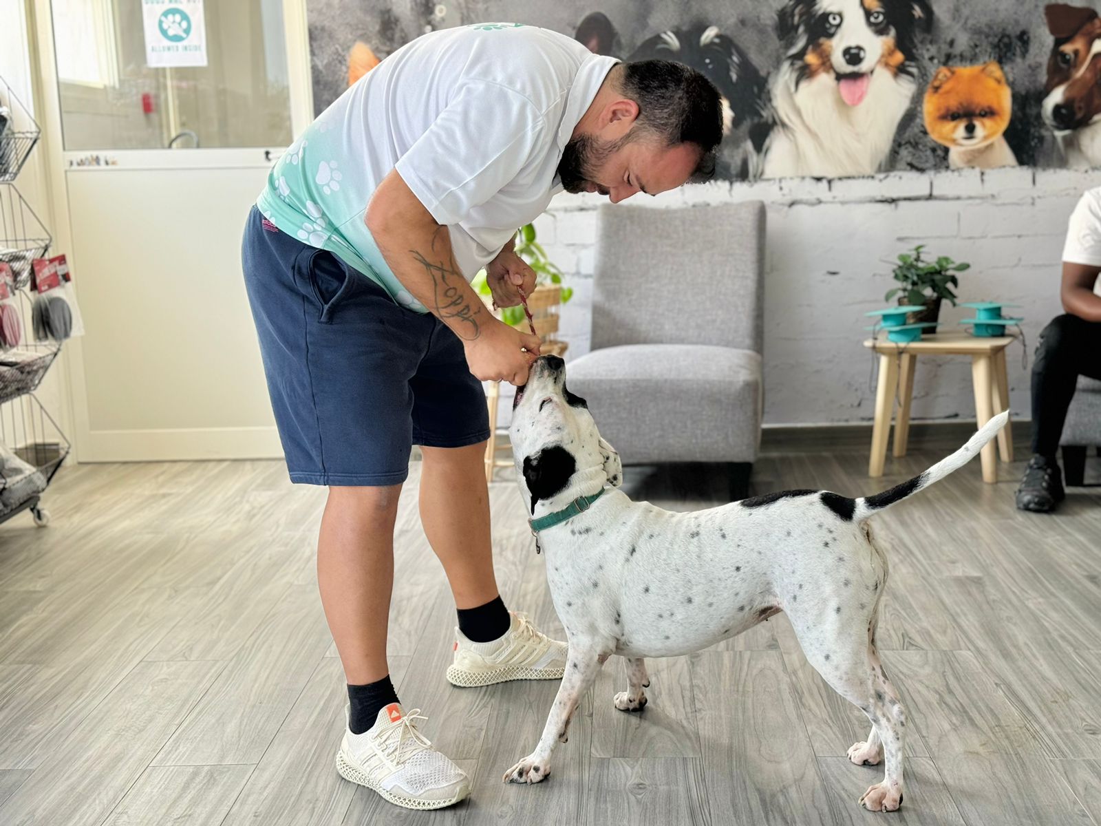 Certified dog behaviorist expertise in Dubai