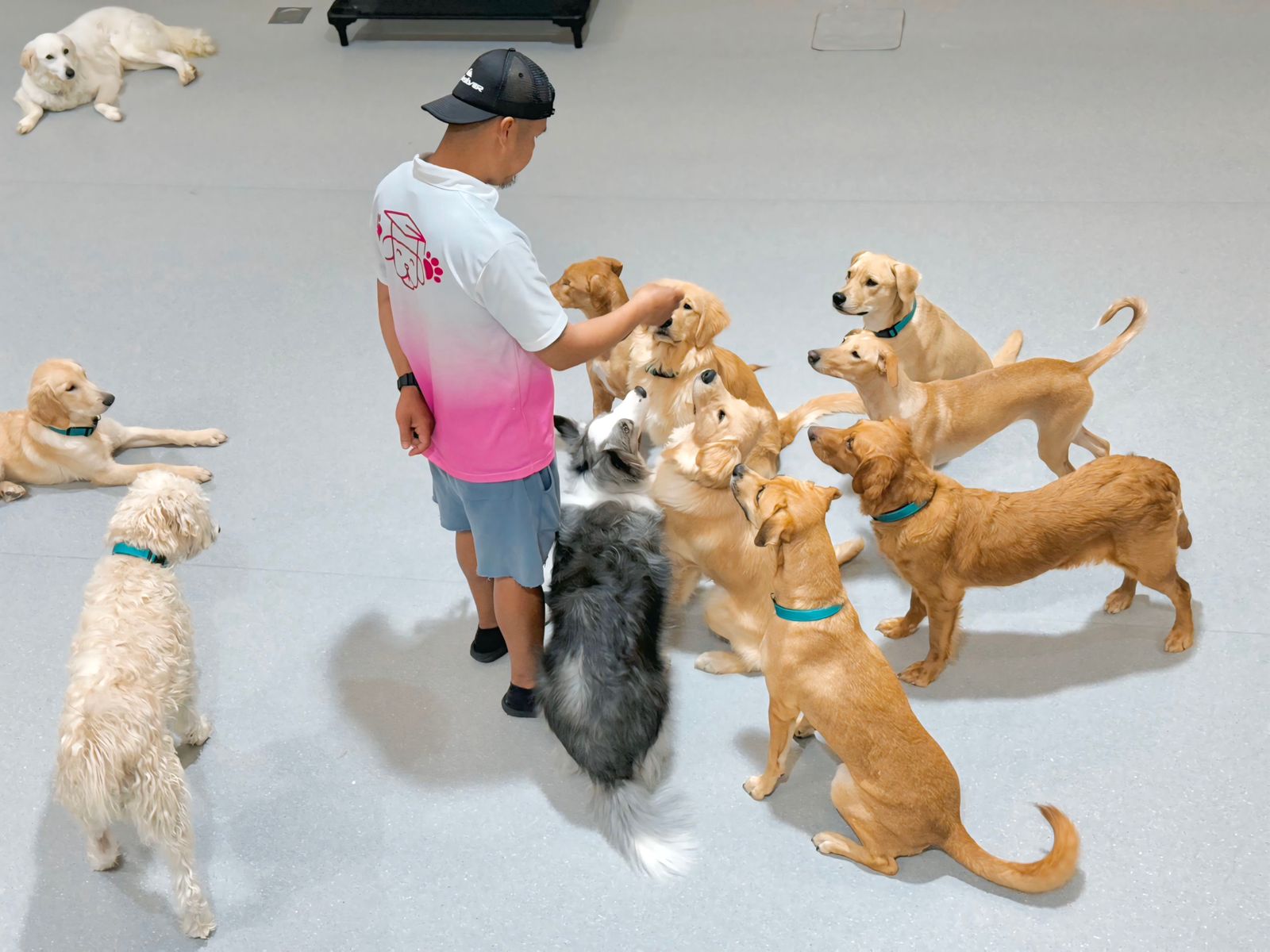 Trainer-supervised daycare playgroups in Dubai