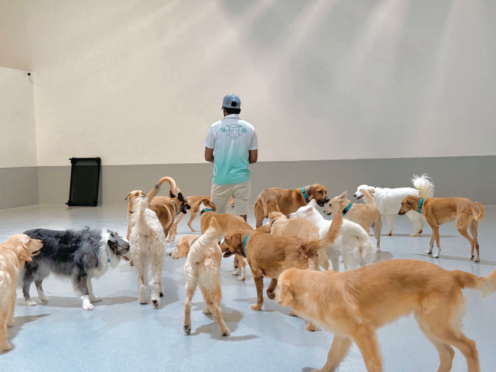 Structured daily routine at trainer-supervised daycare facility