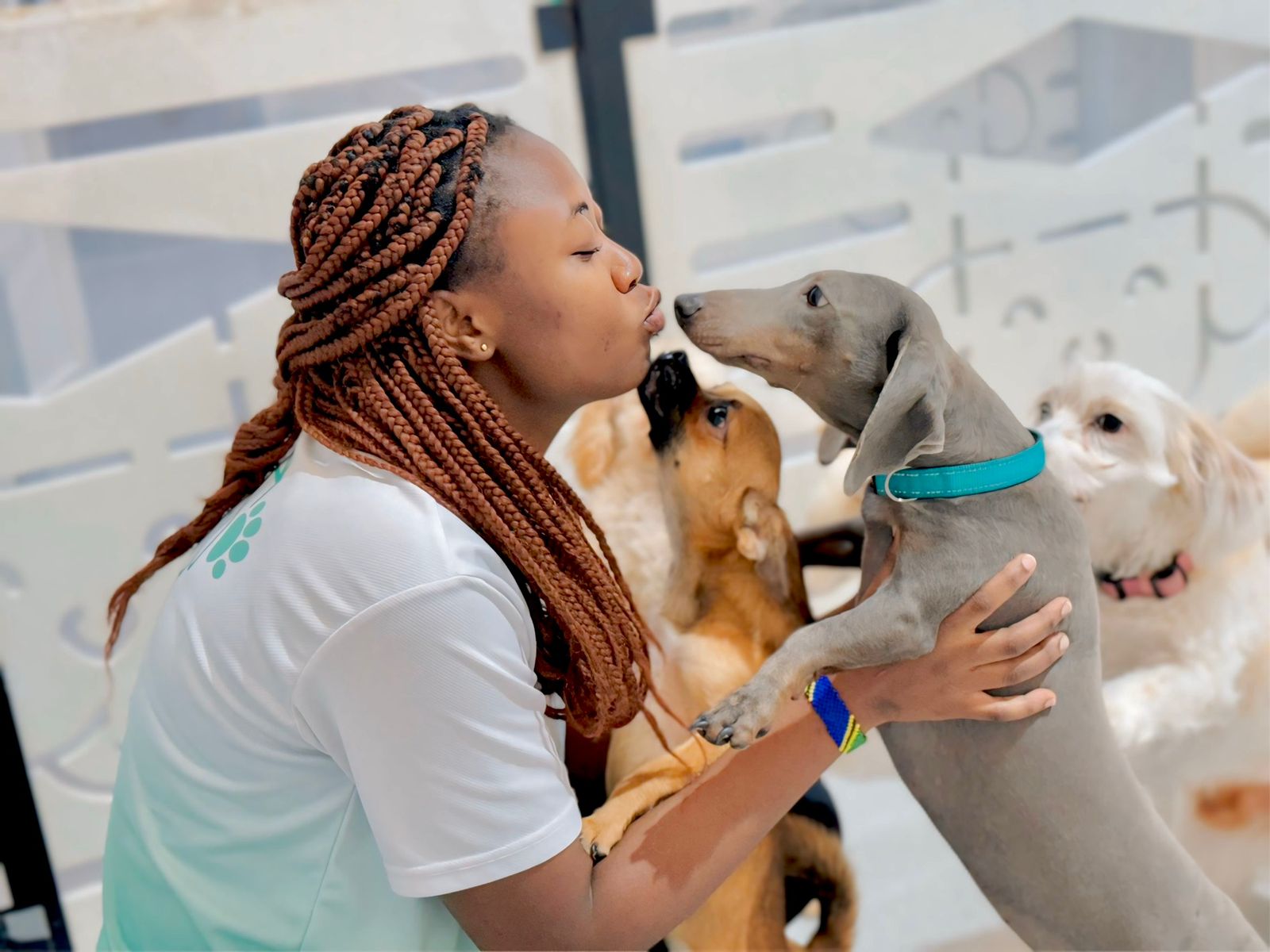 Safe and gentle pet grooming experience in Dubai and Abu Dhabi