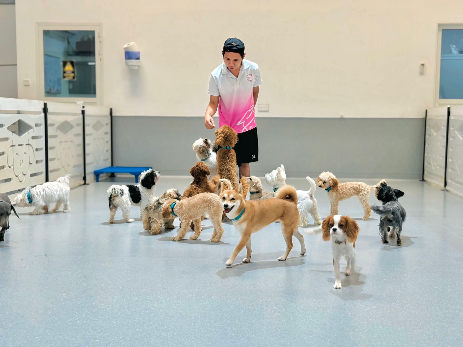 Combining daycare with training services