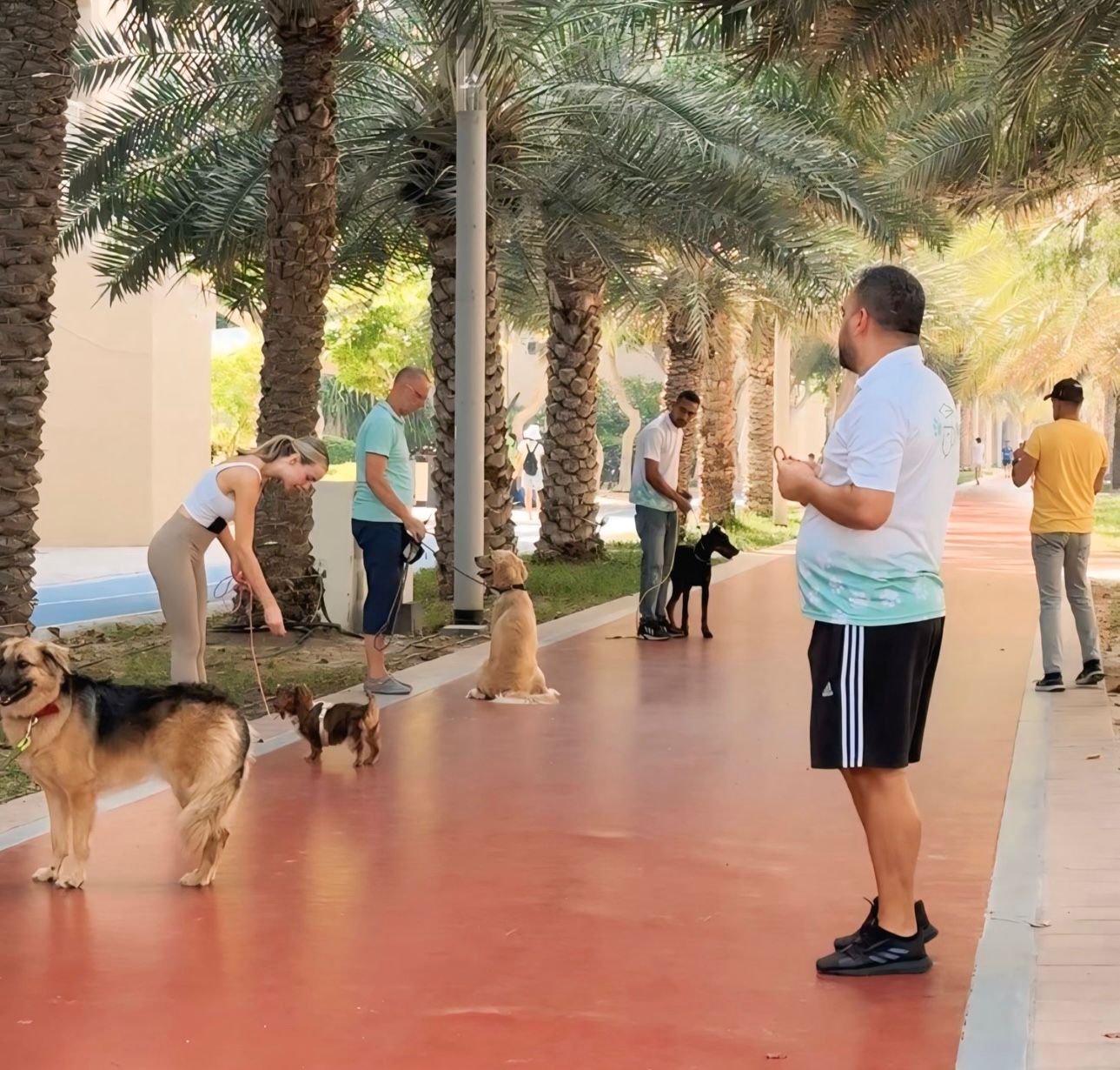 Group classes at convenient locations in Dubai and UAE