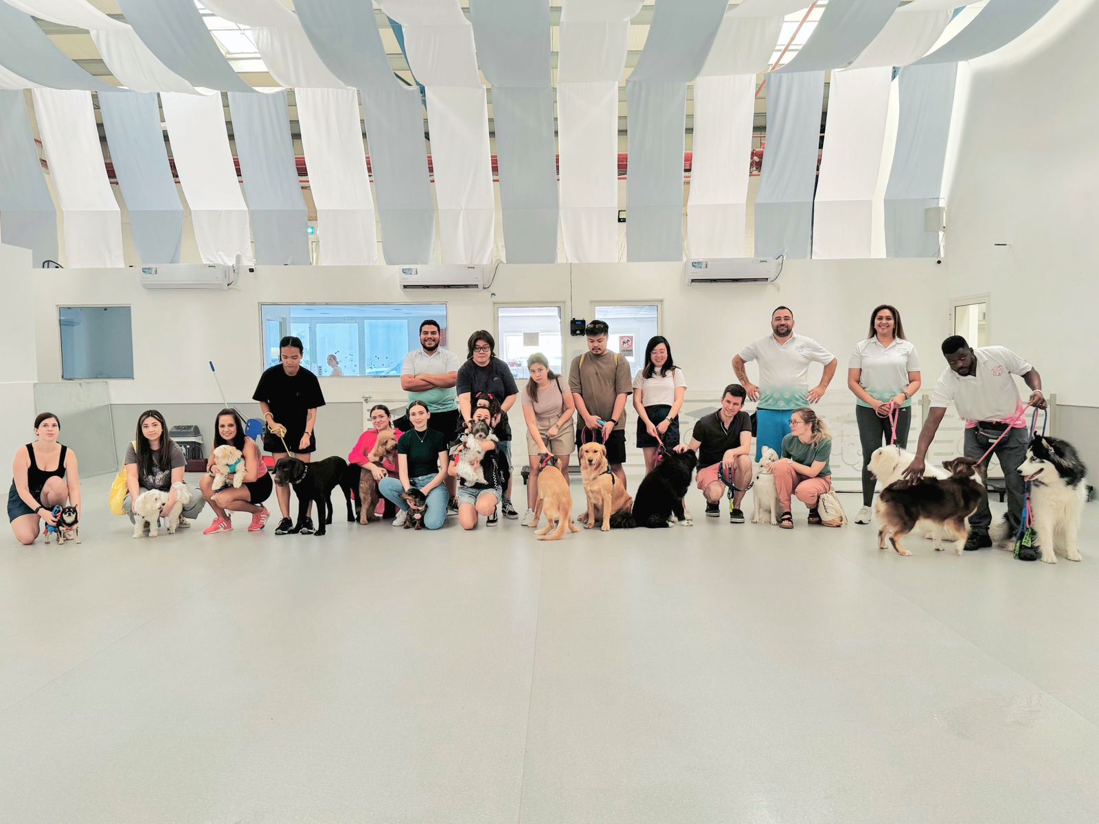 Dog group training classes focusing on obedience and socialization