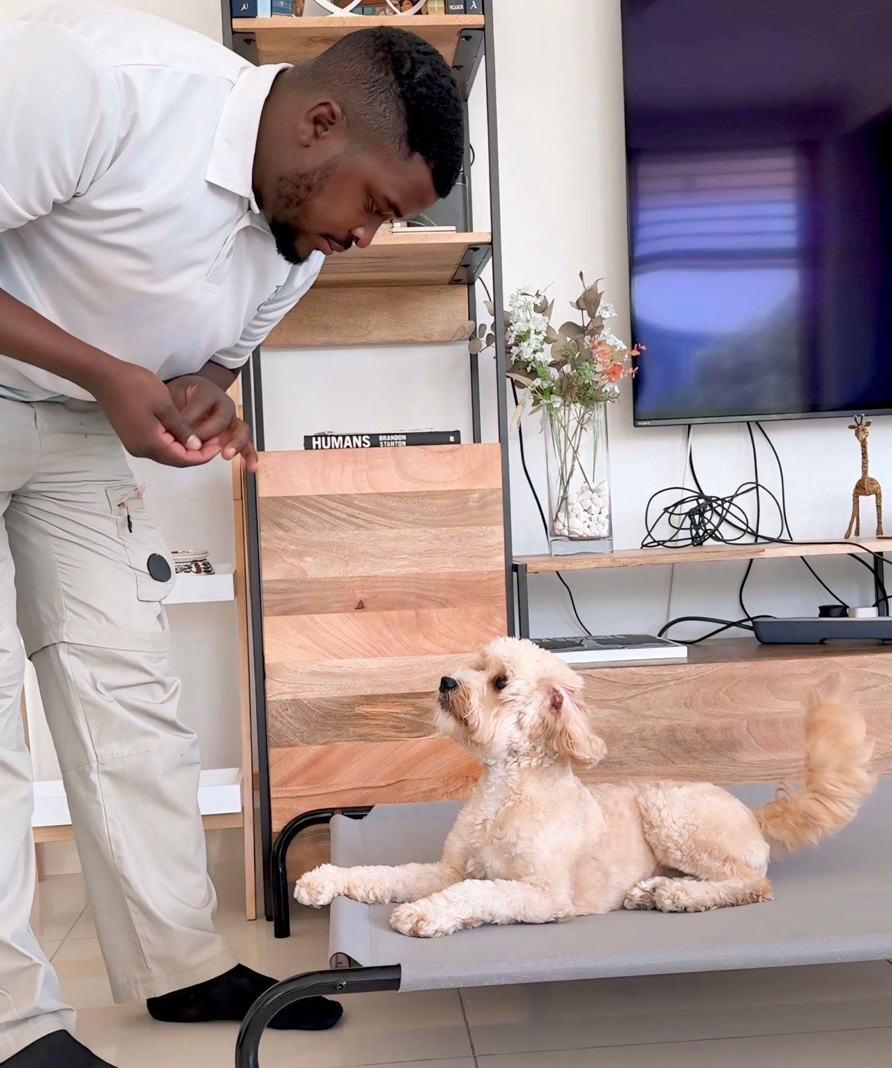 Address specific home issues - training where behavior problems occur