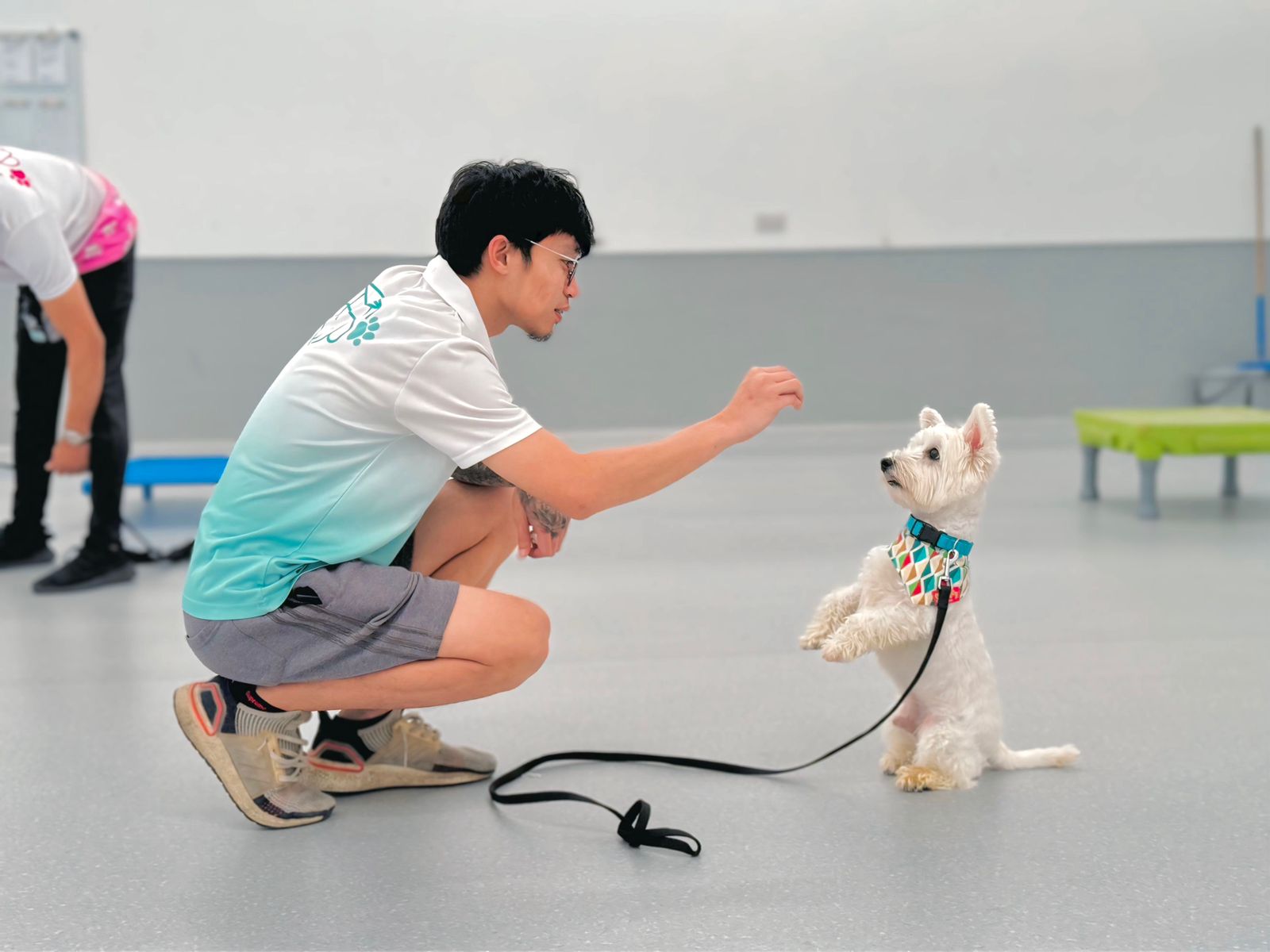 Foundation for good behavior - professional obedience training in Dubai and Abu Dhabi teaches essential commands