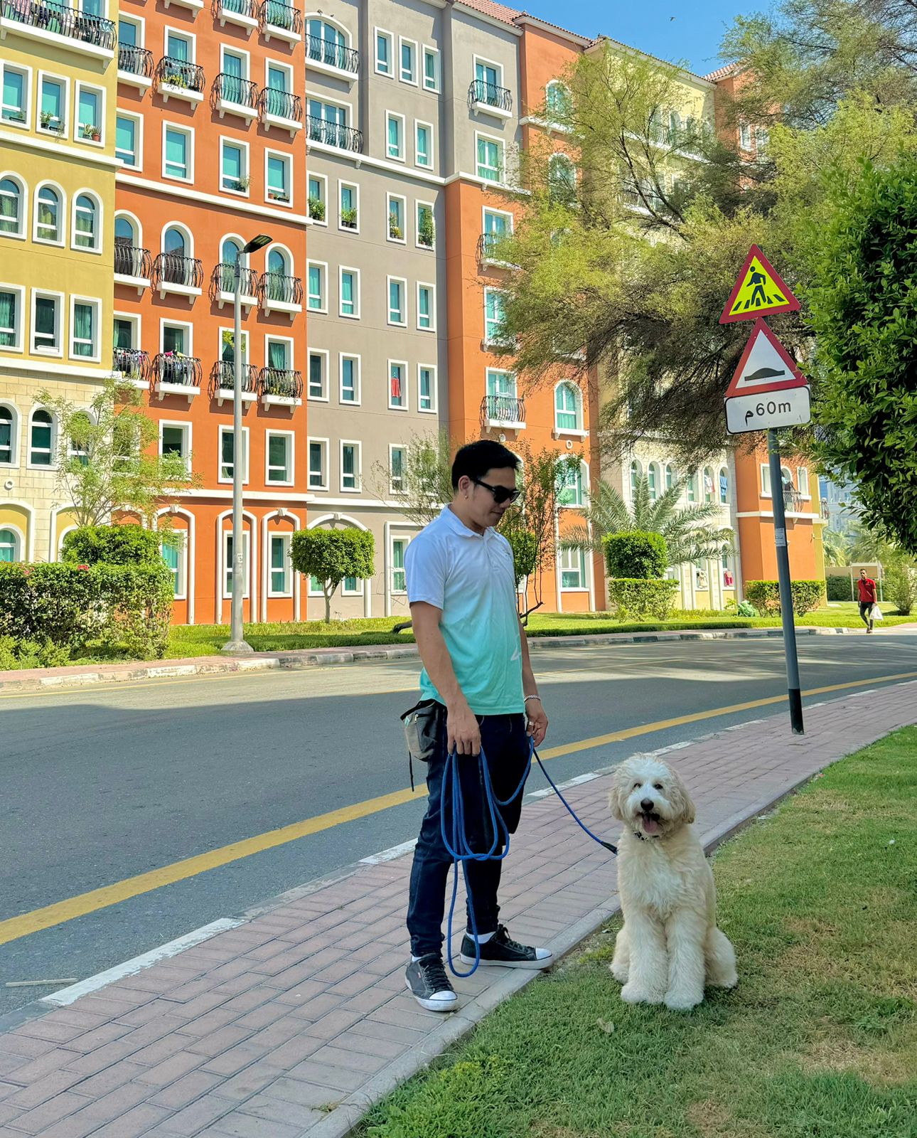 One-to-one private dog training with personalized attention in Dubai and Abu Dhabi