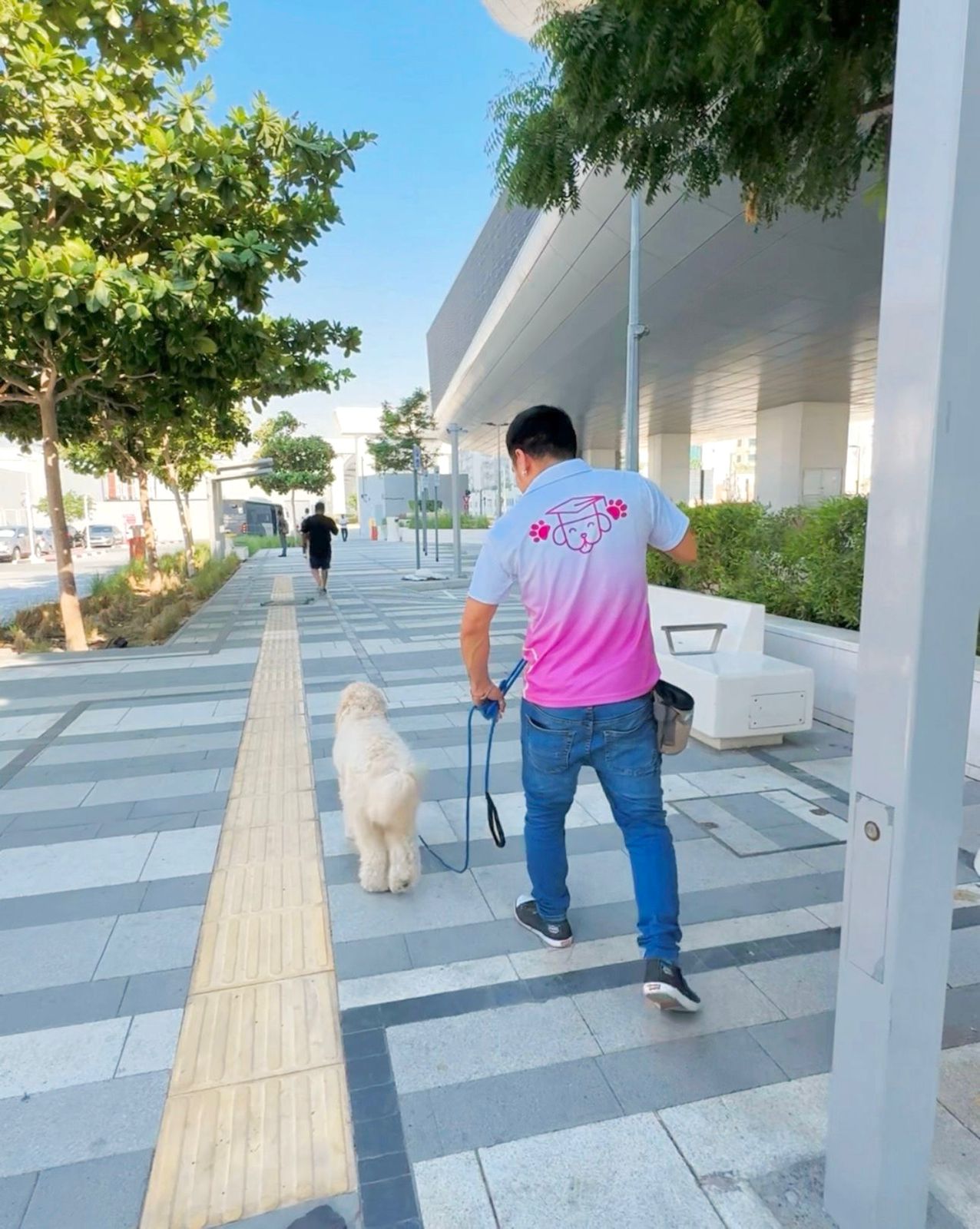 Flexible private dog training sessions at training centres in Dubai and Abu Dhabi or your location