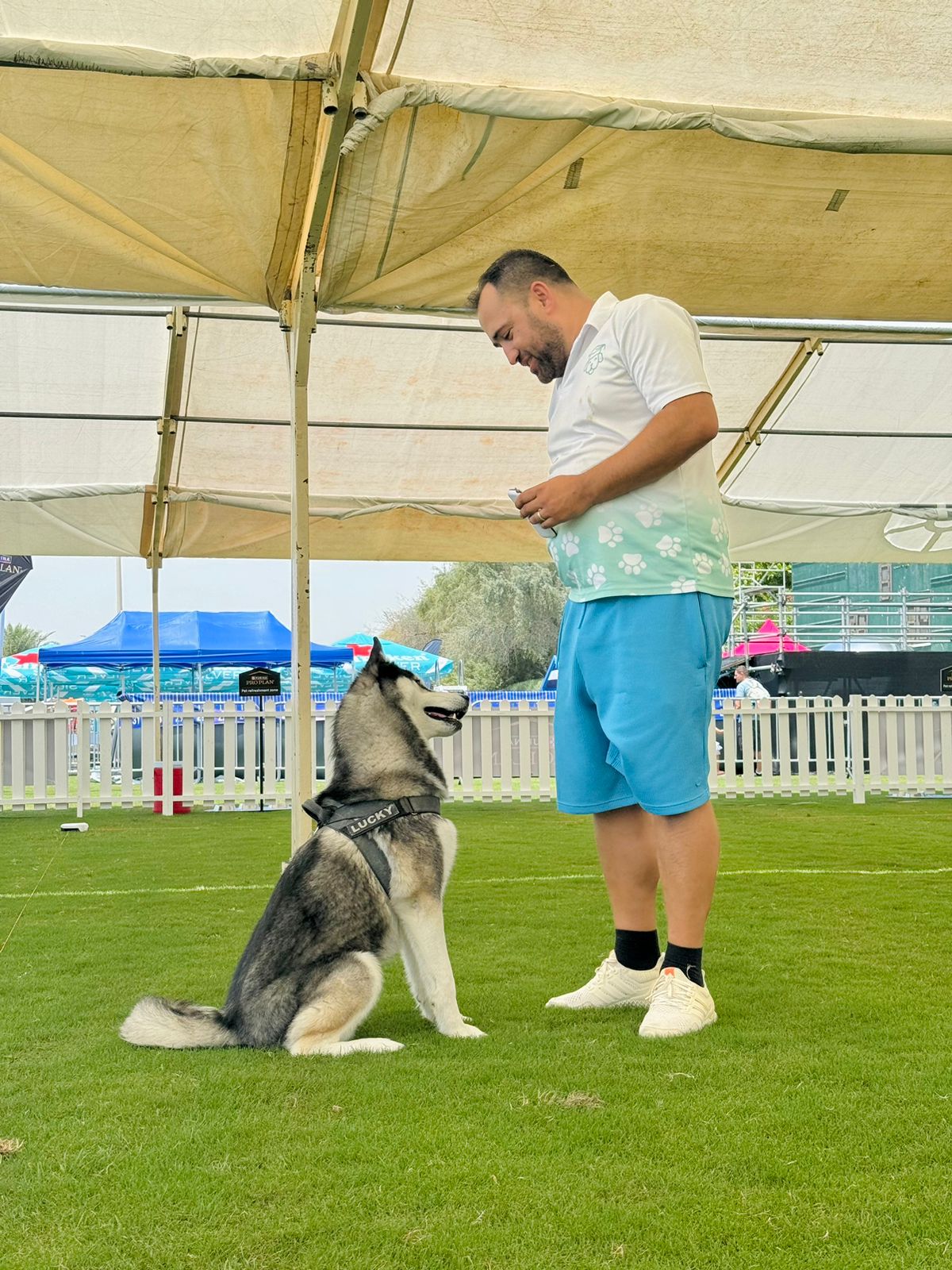 Certified puppy training experts