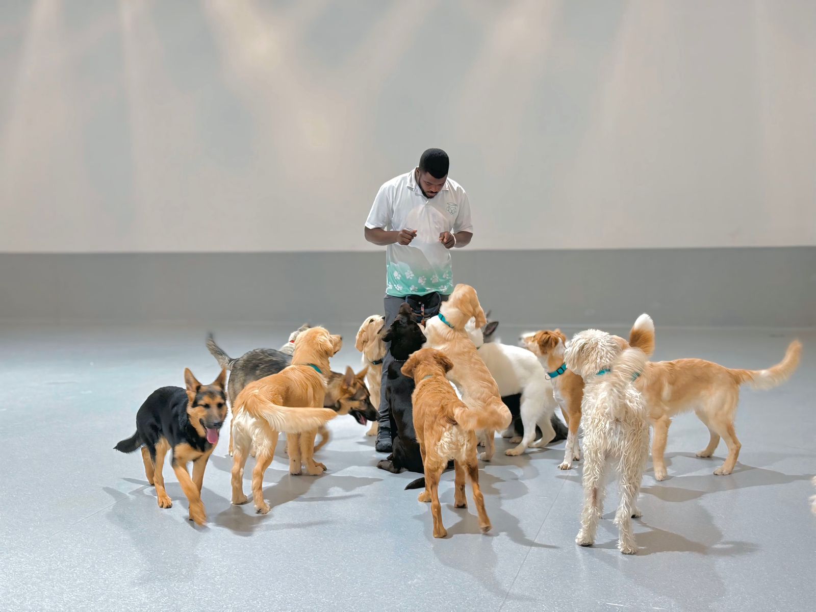 Controlled socialization environment