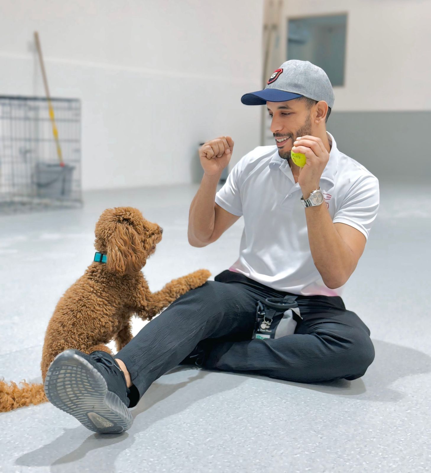 Early start puppy training prevents bad habits - foundation training for well-mannered dogs